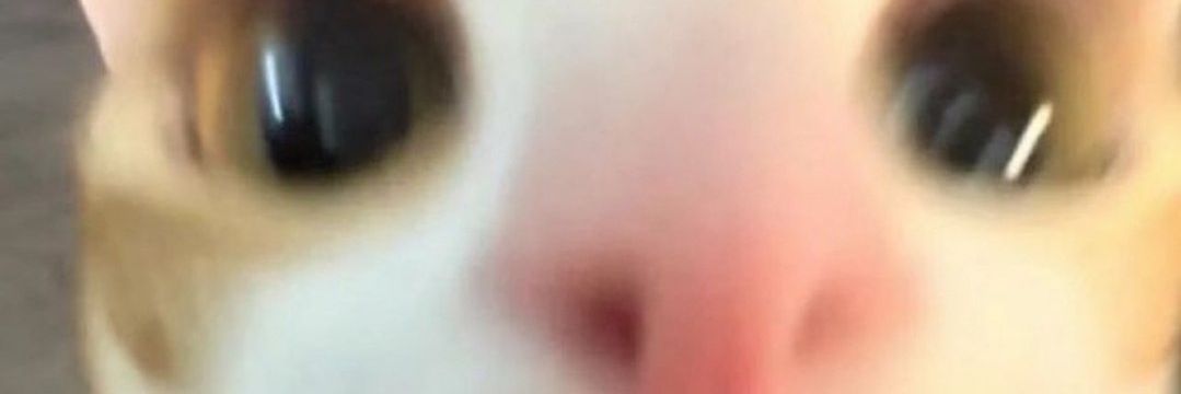 ally 🐥🆙 KARINA DAY banner