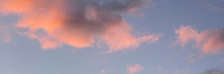 trishavramos's profile banner image