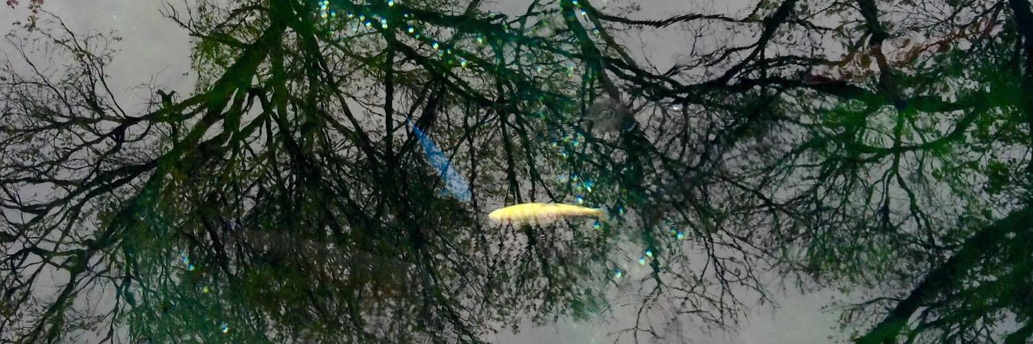 灰月 banner