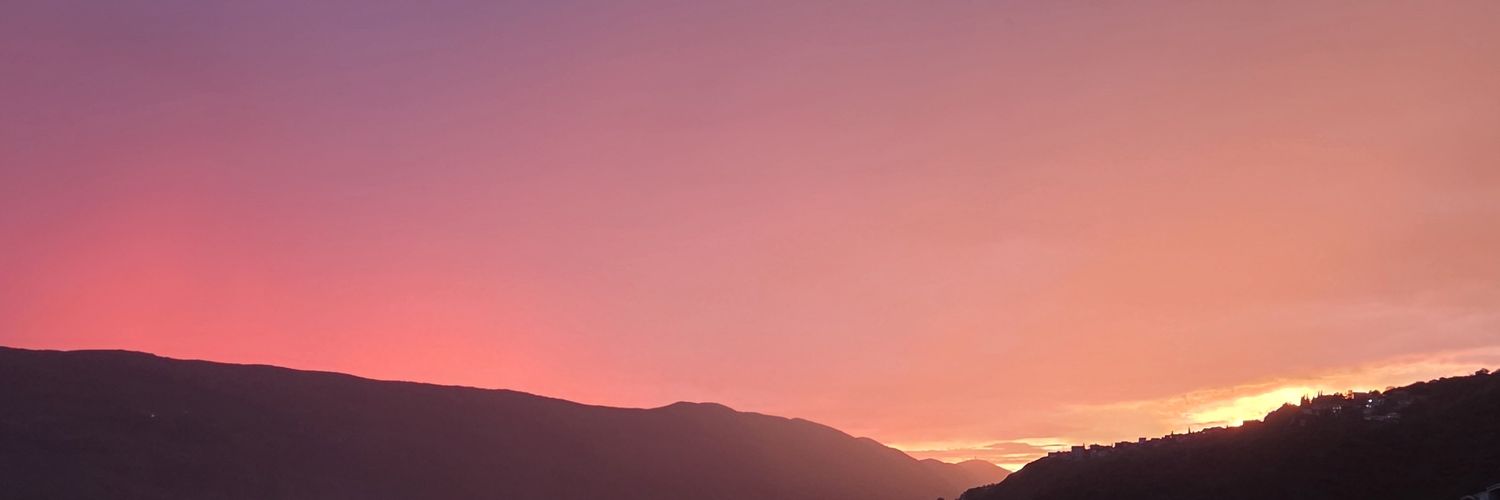 D14169's profile banner image