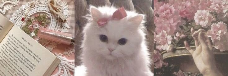 Ra | 自学中文 banner