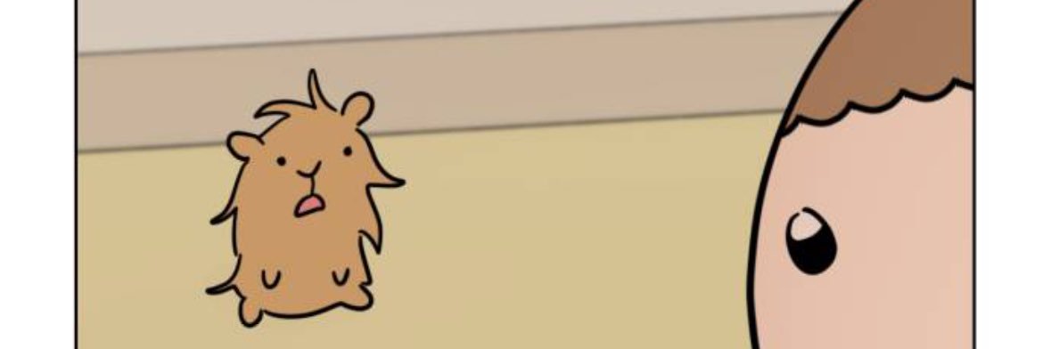 🐙 banner