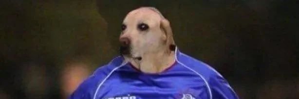 SirCheesyFeet banner