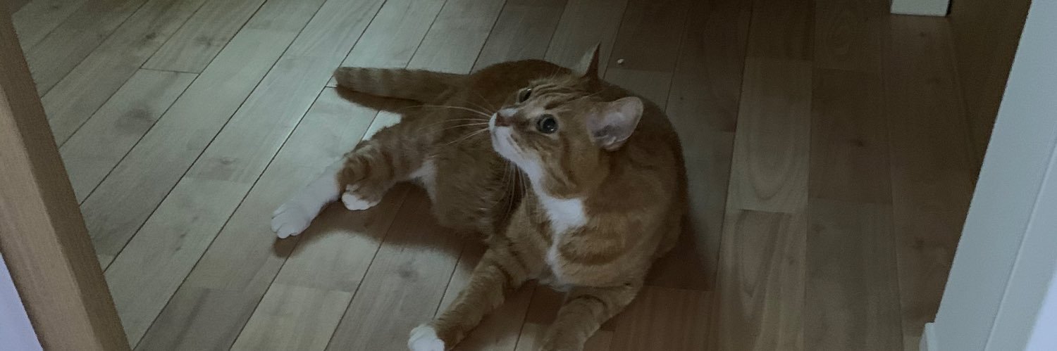 chachamaruceo's profile banner image