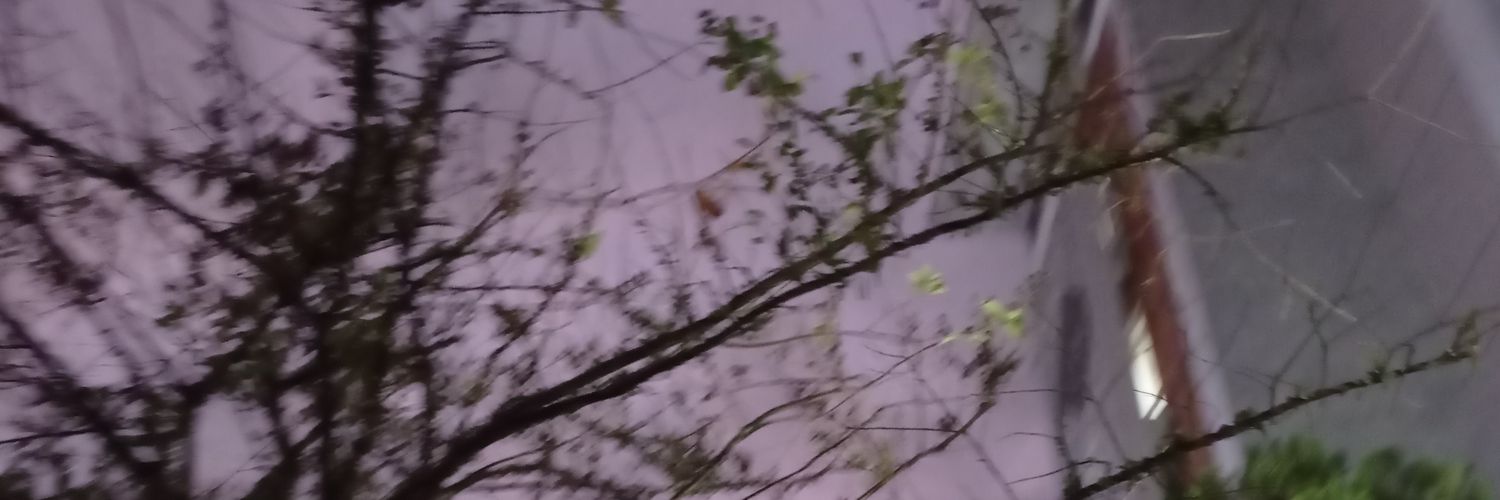 zoleyrav's profile banner image