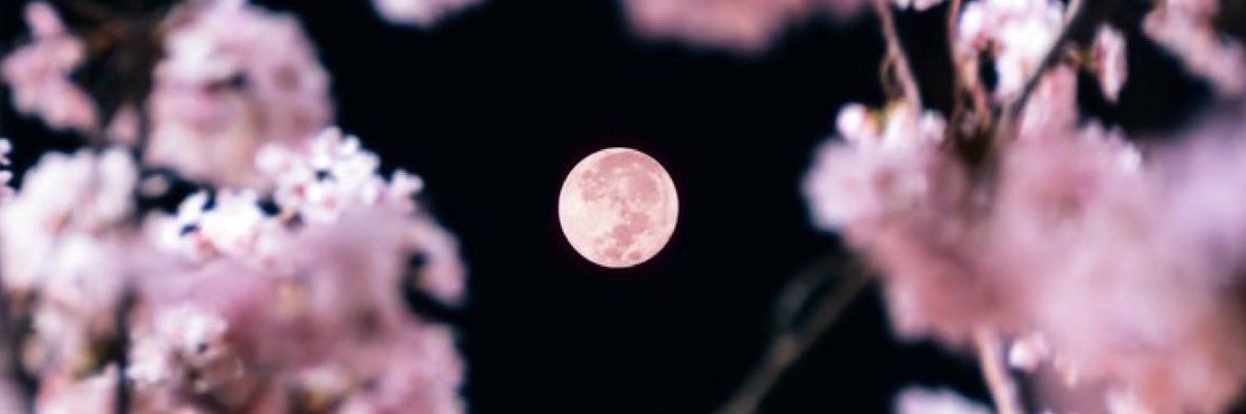 Niko banner