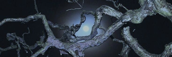 🦷mink .݁˖ ⸒࣪ banner