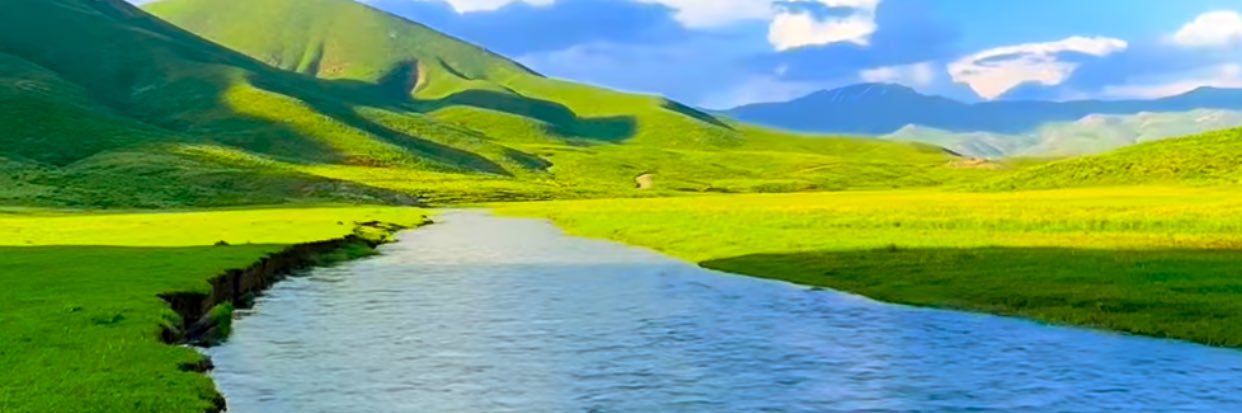 سلمان الظفيري banner