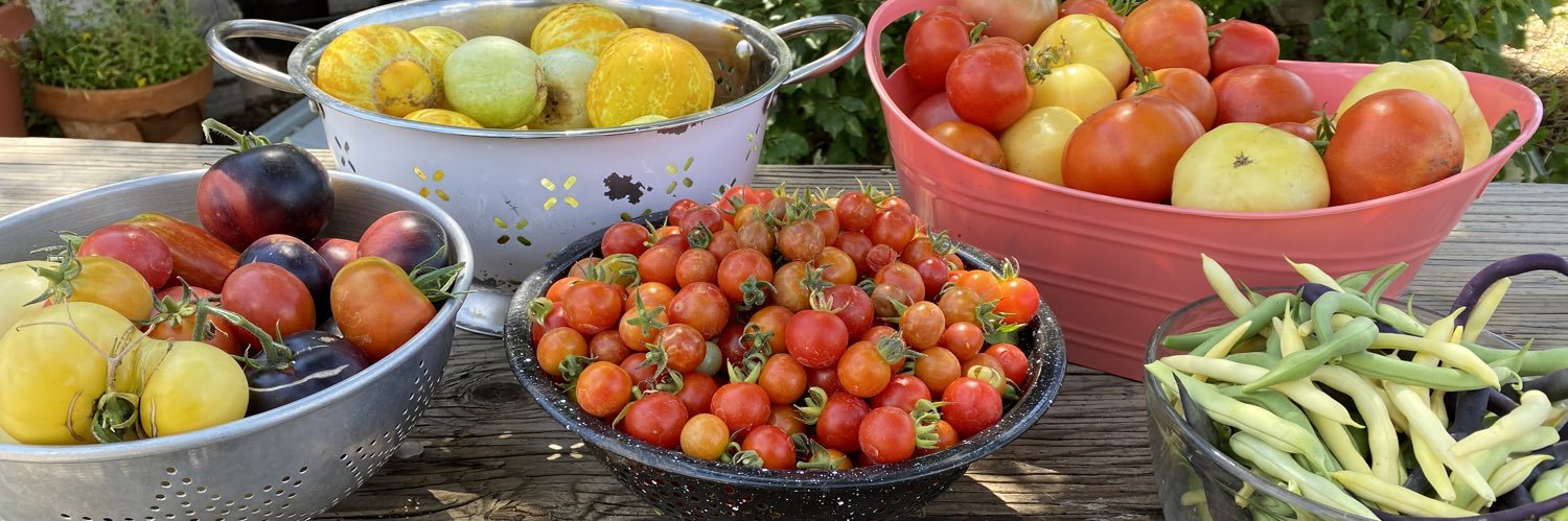 CountryGirlFuel banner