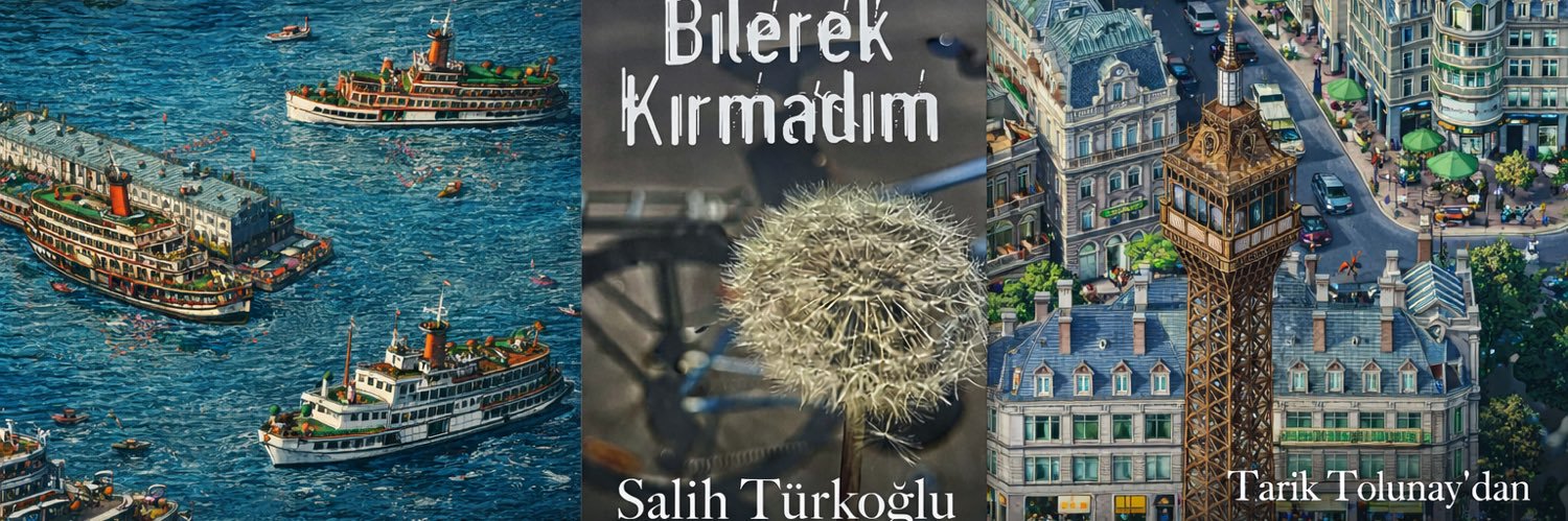 turkoglus's profile banner image