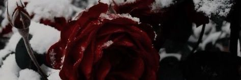 KRsingha_oc's profile banner image