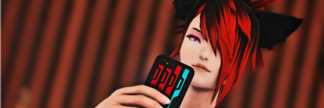 Roina banner