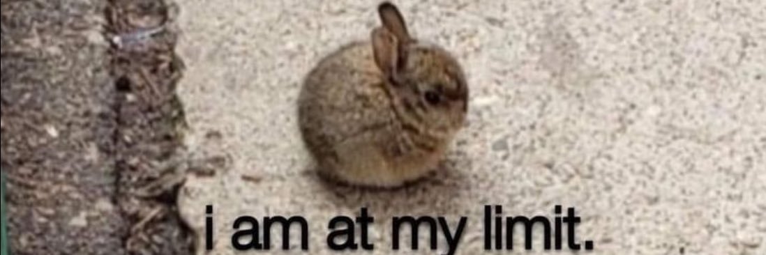 🩸Weiss🩸 banner