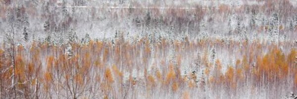 thejaniz Profile Banner