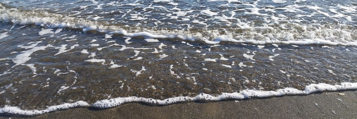 みかんパン banner