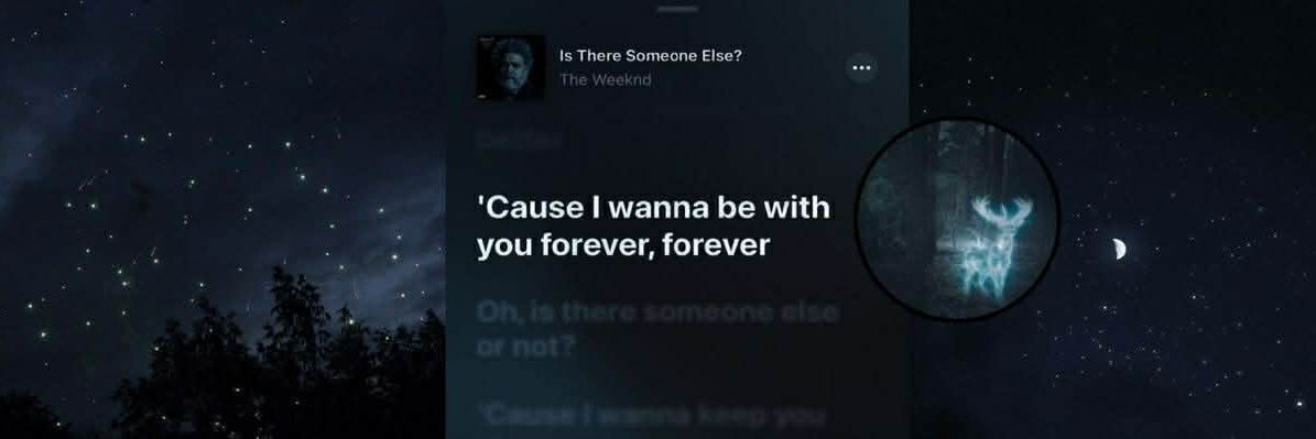 bear ⁶⁵ ⁵⁵ ⁵⁹ banner