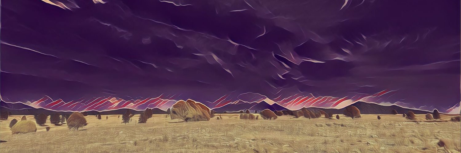 karaleonard's profile banner image