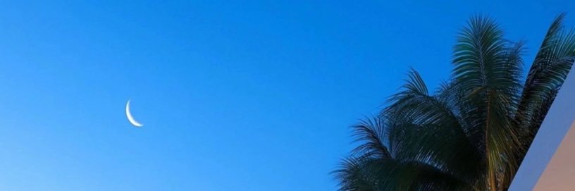 Alexi65520's profile banner image