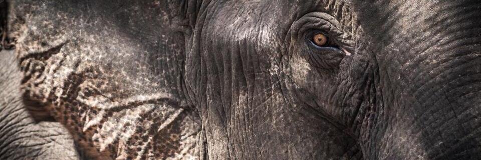 Christianpixtol's profile banner image