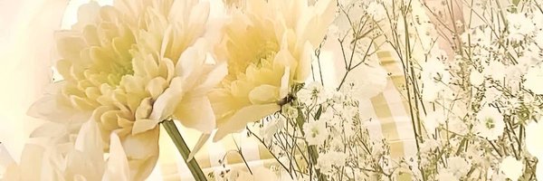 sharpestools Profile Banner