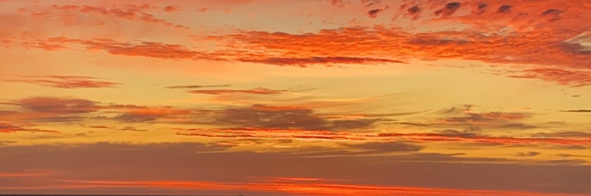 jasminsusannaaa's profile banner image
