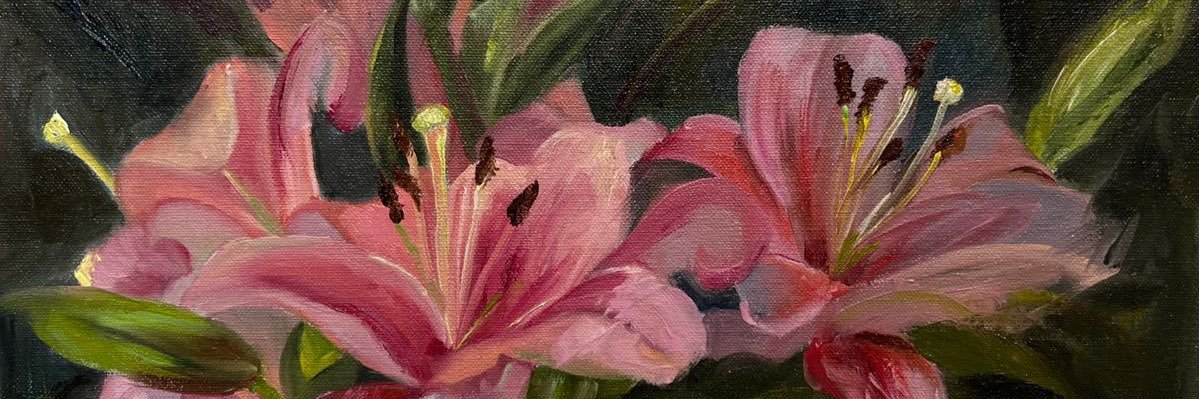 د.ميّاده👩🏻‍⚕️ banner