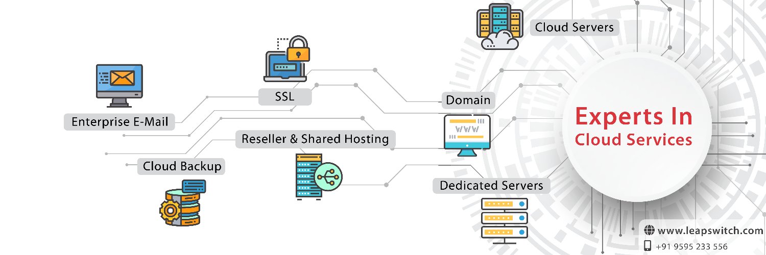 Leapswitch Networks banner
