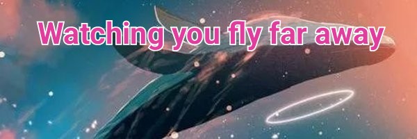 Hawkeye banner