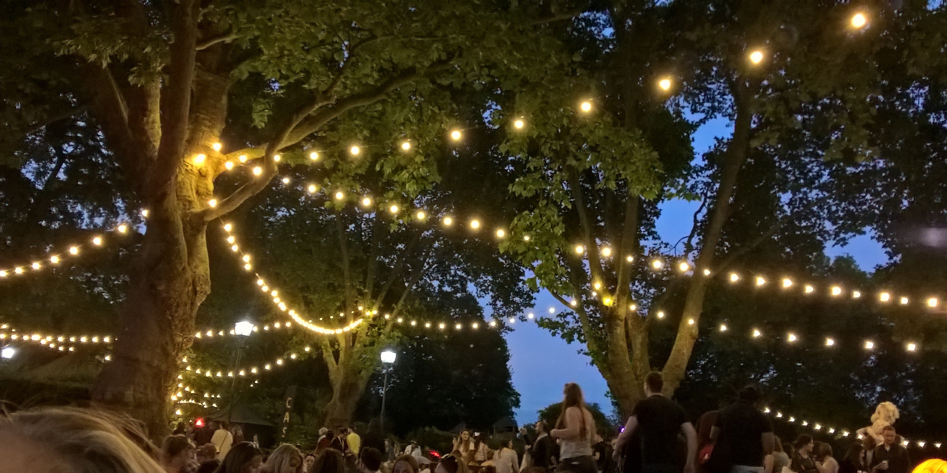 Michael James banner