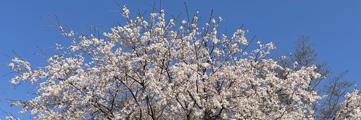 コスモス@キャリア迷子中 banner