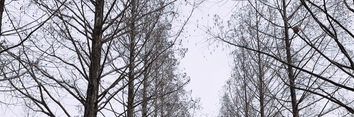 scatteredmind06's profile banner image