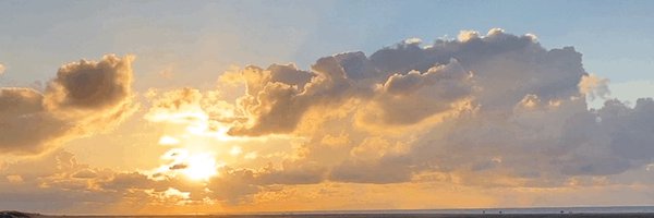 TimToJapan Profile Banner