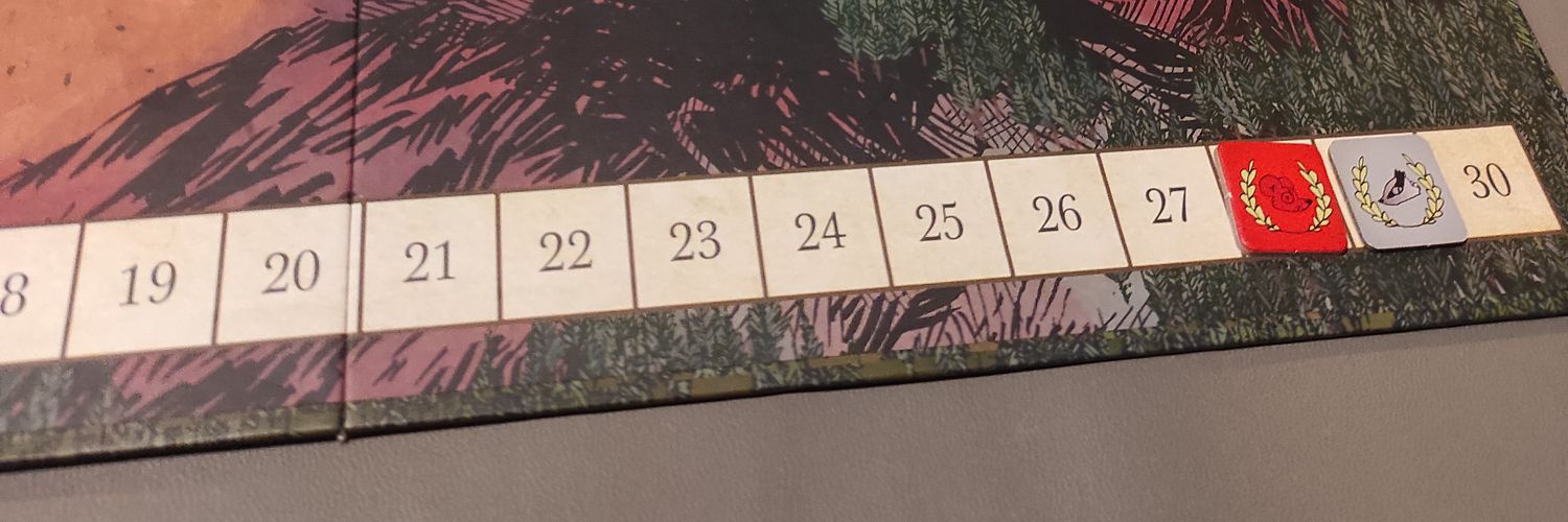 Winoko21 🐍 banner