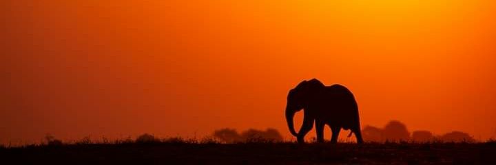 Kranwill_Bw's profile banner image