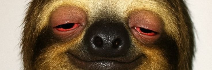 owencalvs's profile banner image