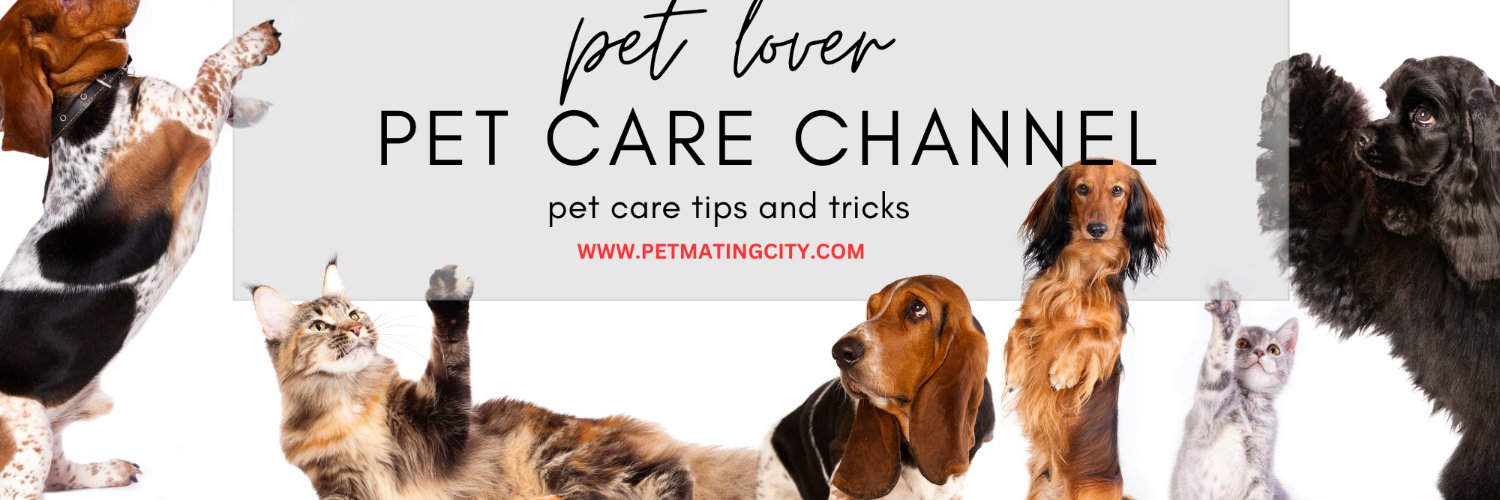 petmatingcity's profile banner image