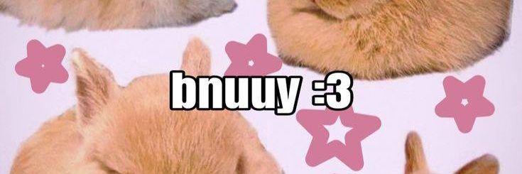 🎀maoshi🎀 banner