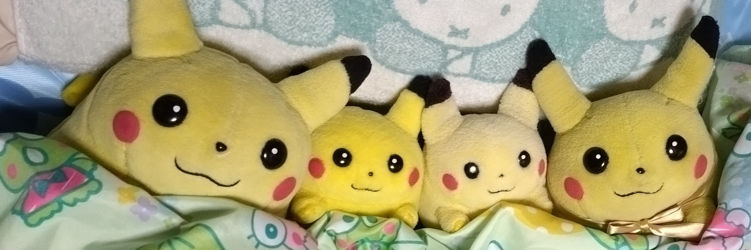 4ピカの集い's banner