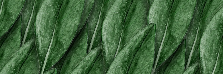 levelheaded20's profile banner image