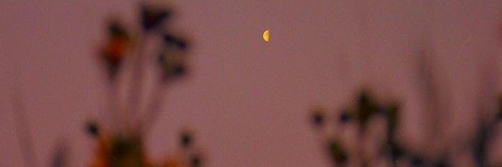 L banner