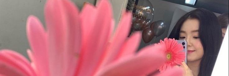 ɪᴅ​ banner