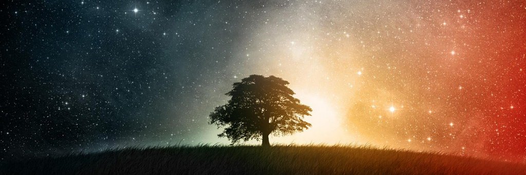 lea_sar's profile banner image