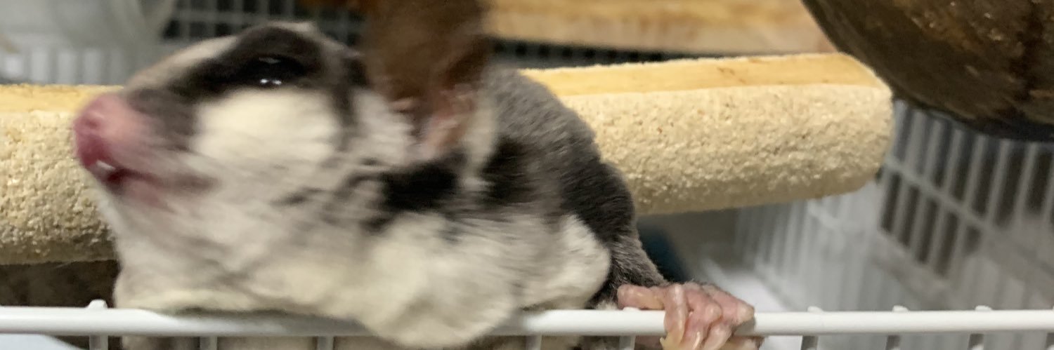 なんかちゃん banner