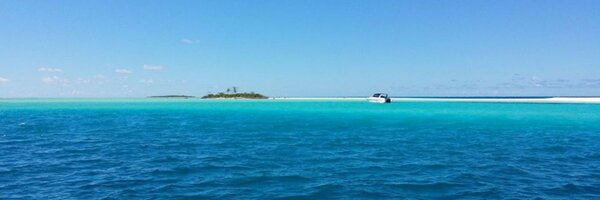 sylvainDev_ Profile Banner