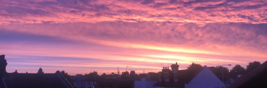 Kate van der Borgh banner