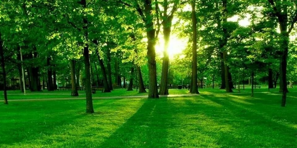 alharbe3331's profile banner image