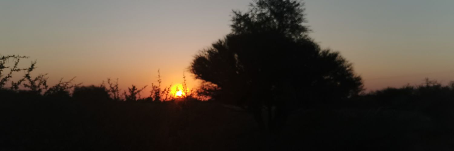 ttiemat's profile banner image