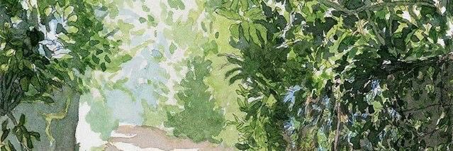Cat 🌿 SAW SKZ's banner