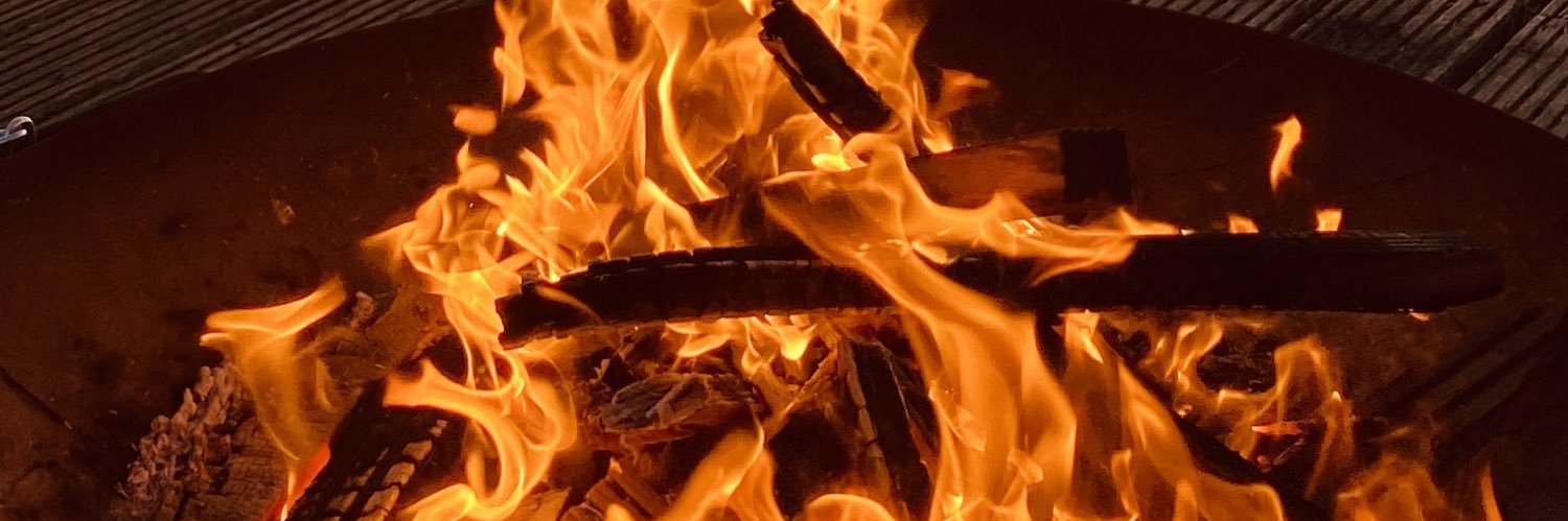 Boris Veldhuijzen van Zanten banner