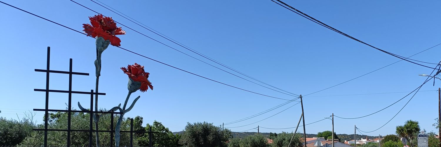 manuelribeiro's profile banner image